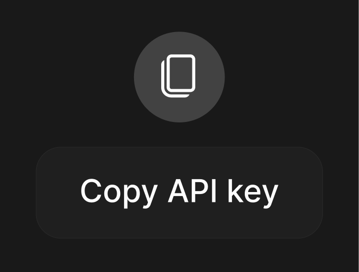 API Key Setup Step 5